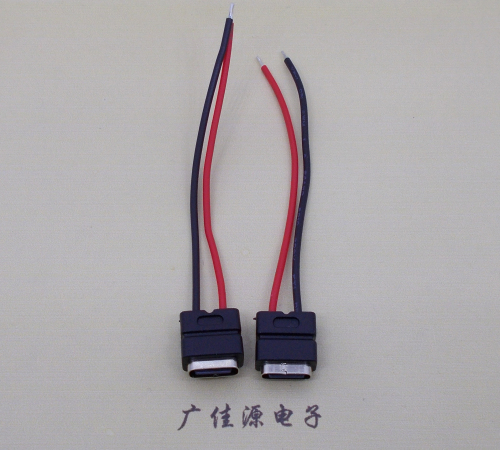 安徽type c2p防水母座焊线式带线注塑成型带接线端子/不带接线端子充电连接器
